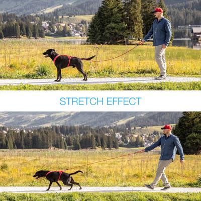 Show full view: Curli Stretch Comfort Dog Leash, Skyblue, Medium slide 4 of 10