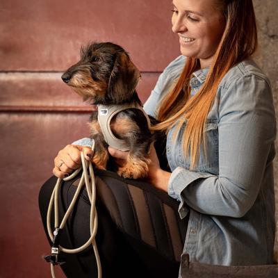 Show full view: Curli Stretch Comfort Dog Leash, Sun Orange, Medium slide 2 of 10