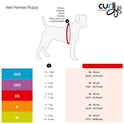 Show full view: Curli Vest Air-Mesh Dog Harness & Dog Leash, Skyblue, X-Small slide 3 of 10
