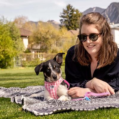 Show full view: Curli Vest Air-Mesh Dog Harness & Dog Leash, Skyblue, X-Small slide 4 of 10