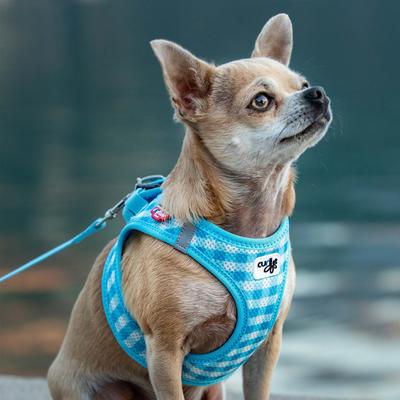 Show full view: Curli Vest Air-Mesh Dog Harness & Dog Leash, Skyblue, X-Small slide 9 of 10