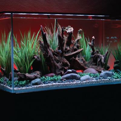 Show full view: Current USA LightSerene Background LED Aquarium Light Kit, 36-in slide 4 of 7