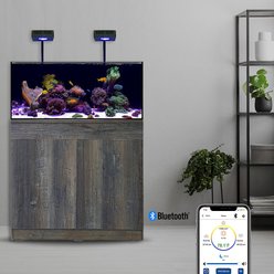 Current USA Orbit R24 Bluetooth Dual 2x Light System with Flex Arms slide 2 of 7