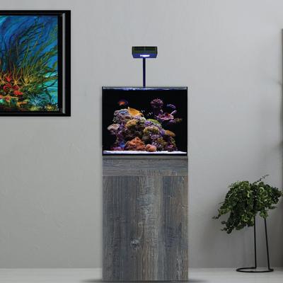 Show full view: Current USA Orbit R24 LED Reef Aquarium Light slide 2 of 7