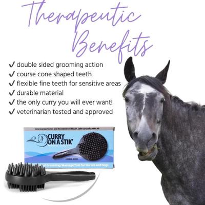 Show full view: Curry on a Stik Horse & Dog Grooming Brush slide 8 of 9