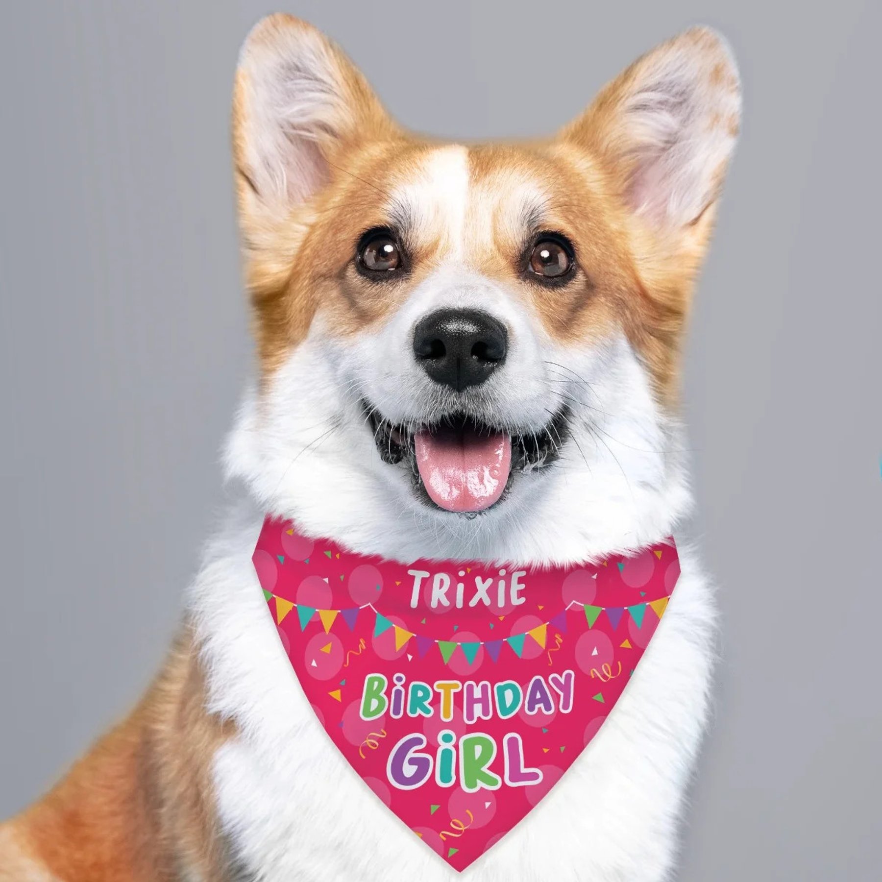 Custom Personalization Solutions Birthday Girl Personalized Dog Bandana, Pink, Count