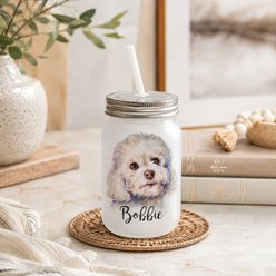 Custom Personalization Solutions Pet Breeds Bichon Frosted Mason Jar with Lid & Straw, White, 15-oz