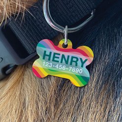 Custom Personalization Solutions Rainbow Wave Personalized Pet Tag slide 2 of 4