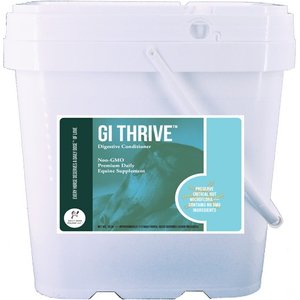 Daily Dose Equine GI Thrive Digestive Conditioner Powder Horse Supplement, 10-lb bucket