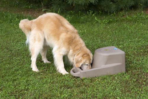 Show full view: Dakota 283 Dash Dakota Guard Antimicrobial Dog Watering System, Orange, 5-gal slide 4 of 8