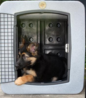 Show full view: Dakota 283 Forever Insert Dakota Guard Antimicrobial Dog Kennel Divider, Large slide 7 of 7