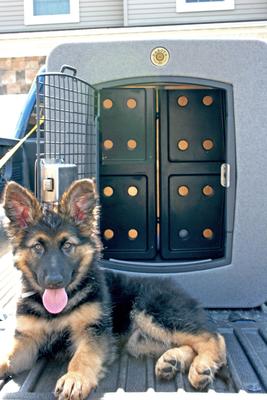 Show full view: Dakota 283 Forever Insert Dakota Guard Antimicrobial Dog Kennel Divider, X-Large slide 7 of 7