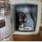 Show in main carousel: Dakota 283 G3 Framed Door Dog Kennel, Coyote Granite, Medium slide 4 of 6