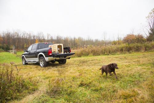 Show full view: Dakota 283 G3 Framed Door Dog Kennel, Dark Granite, X-Large slide 4 of 8