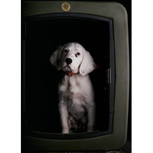 Dakota 283 G3 Framed Door Dog Kennel, Olive, Medium