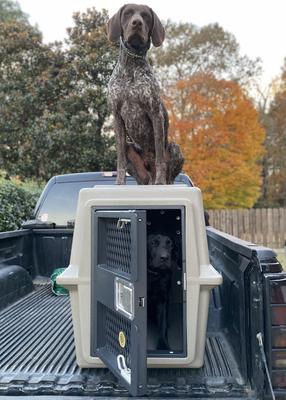 Show full view: Dakota 283 Hero Dog Kennel, Coyote Granite slide 9 of 9