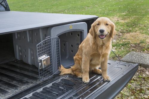 Show full view: Dakota 283 T1 Dog Kennel, Dark Granite slide 7 of 7