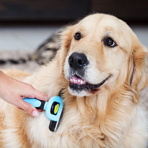 Show full view: Dakpets FURblaster Deshedding & Light Trimming Tool for Long & Short Hair Dogs & Cats, Blue slide 5 of 11