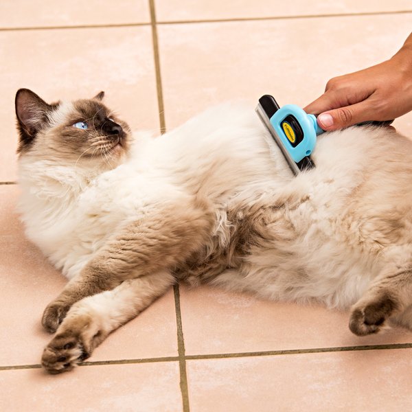 Show full view: Dakpets FURblaster Deshedding & Light Trimming Tool for Long & Short Hair Dogs & Cats, Blue slide 7 of 11