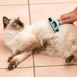 Show in main carousel: Dakpets FURblaster Deshedding & Light Trimming Tool for Long & Short Hair Dogs & Cats, Blue slide 7 of 11