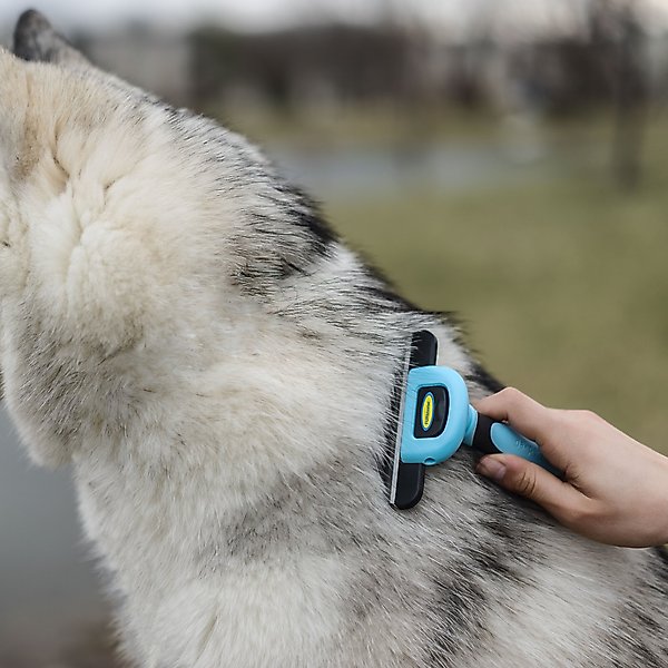 Show full view: Dakpets FURblaster Deshedding & Light Trimming Tool for Long & Short Hair Dogs & Cats, Blue slide 8 of 11
