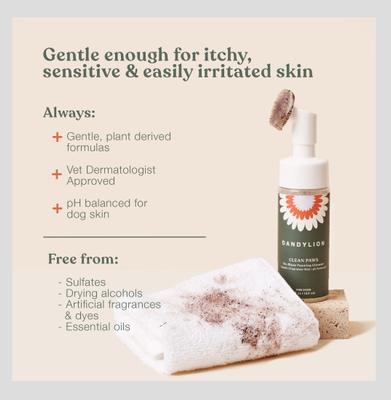 Show full view: Dandylion Clean Paws Dog Foaming Cleanser, 5-fl oz bottle slide 5 of 9