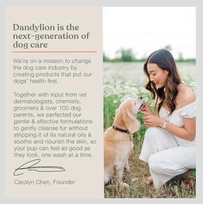 Show full view: Dandylion Clean Paws Dog Foaming Cleanser, 5-fl oz bottle slide 8 of 9