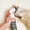 Show in main carousel: Dandylion Clean Paws No-Rinse Foaming Dog Cleanser Refill, 10-fl oz bottle slide 2 of 5