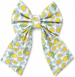 DAPPER DEXTER Lemon Plaid Sailor Accessories Dog Bow Tie, Blue