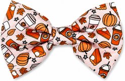 DAPPER DEXTER Pumpkin Spice Accessories Dog Bow Tie, Ivory