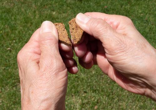 Show full view: Darford Zero/G Minis Grain-Free Roasted Duck Dog Treats, 6-oz bag slide 6 of 8