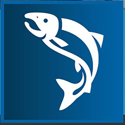 Show full view: Darford Zero/G Wild Caught Pacific Salmon Recipe Limited Ingredients Dry Dog Food, 14-lb box slide 6 of 7