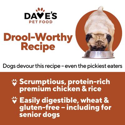Show full view: Dave's Pet Food Naturally Healthy Chicken & Rice Recipe Pate Canned Wet Dog Food, 13.2-oz can, case of 12 slide 3 of 11