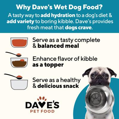 Show full view: Dave's Pet Food Skin & Coat Support Chicken & Sweet Potato Recipe Pate Wet Canned Dog Food, 13.2-oz can, case of 12 slide 9 of 12