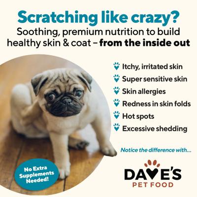 Show full view: Dave's Pet Food Skin & Coat Support Chicken & Sweet Potato Recipe Pate Wet Canned Dog Food, 13.2-oz can, case of 12 slide 4 of 12