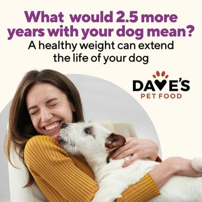 Show full view: Dave's Pet Food Weight Management Turkey & Vegetables Recipe Pate Wet Canned Dog Food,13.2-oz can, case of 12 slide 4 of 13