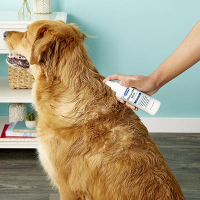 Show full view: Davis Chlorhexidine Dog & Cat Spray, 8-fl oz bottle slide 5 of 11