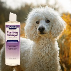 Davis Clarifying Dog Shampoo, 12-fl oz bottle slide 2 of 2