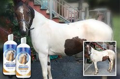 Davis Manes & More Horse Conditioner, 32-fl oz bottle slide 2 of 2