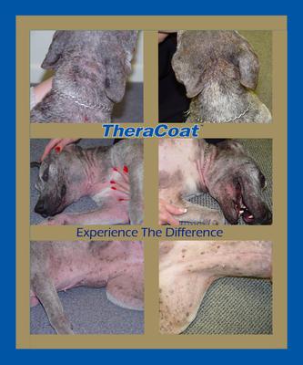 Show full view: Davis TheraCoat Dog & Cat Supplement, 14.1-oz jar slide 5 of 7