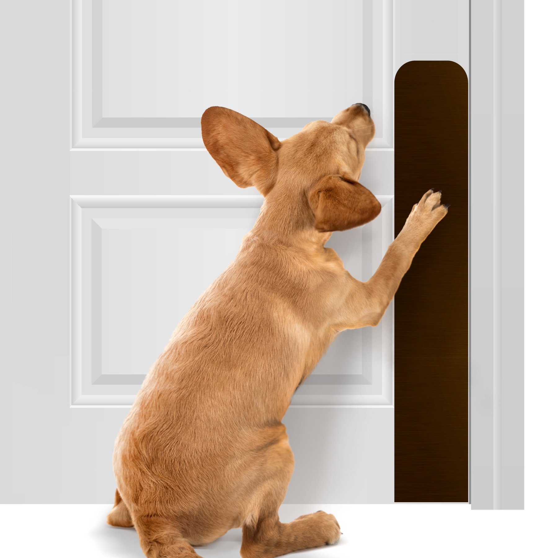 Deck the Door Decor Dog Scratch Door Protection Plate, Oil Rubbed Bronze, 30 x 6-in