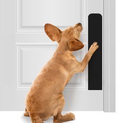 Deck the Door Decor Dog Scratch Door Protection Plate, Satin Black, 22 x 4-in