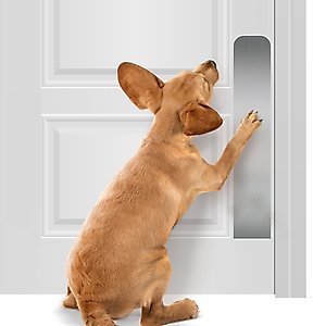 Deck the Door Decor Dog Scratch Door Protection Plate, Satin Nickel, 22 x 4-in
