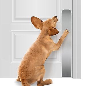 Deck the Door Decor Dog Scratch Door Protection Plate, Satin Nickel, 30 x 4-in
