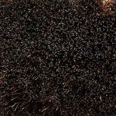 Show full view: Decker Manufacturing Company Natural Horse Hair Blend Horse Brush slide 2 of 3