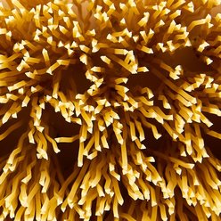 Decker Manufacturing Company Stiff Synthetic Horse Brush slide 2 of 2