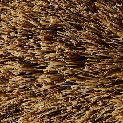 Show full view: Decker Manufacturing Company Union Fiber Horse Brush slide 3 of 4