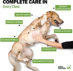 Deley Naturals 15-in-1 Multivitamin Chicken Flavor Dog Vitamin, 12.7oz Carton, 120 count slide 2 of 6