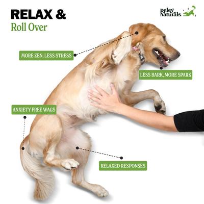 Show full view: Deley Naturals Advanced Calming Chicken Flavor Dog Supplement, 6.35-oz Canister, 60 Count slide 4 of 9