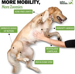 Deley Naturals Advanced Hip & Joint Chicken Flavor Dog Supplement, 17-oz Canister, 120 Count slide 2 of 6